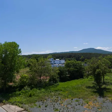 Първа Линия Хотел С Адрес К-С Реджина Маре Царево צרבו